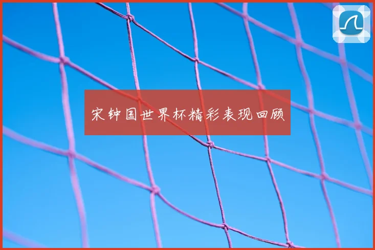 宋钟国世界杯精彩表现回顾