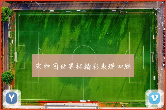 宋钟国世界杯精彩表现回顾