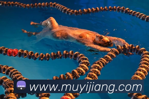 世界杯官方网络平台APP 体育赛事宣传图